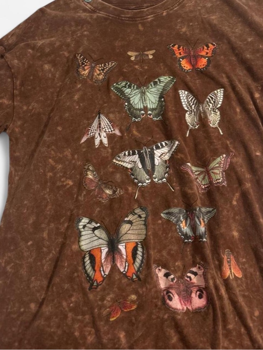 Ripple Junction Brown Tee with Multicolor Butterfly Prints